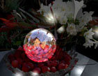 Christmas Wallpapers 288